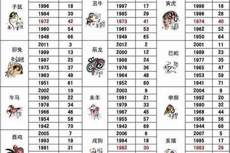 2028 生肖|2028年是什么年？2028年属什么生肖